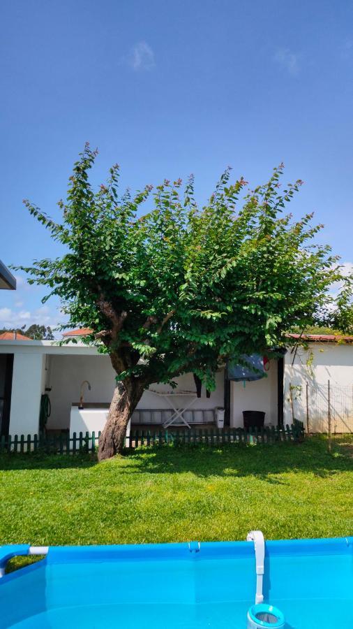 Вілла House With Pool And Garden In Esmoriz Near Porto Екстер'єр фото